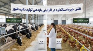 جیره استاندارد دام و طیور